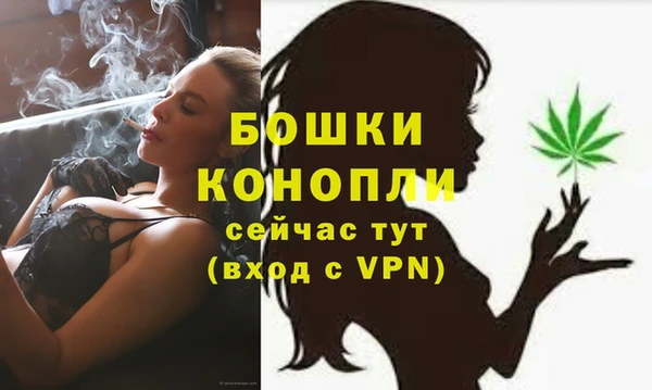 спайс Дмитриев