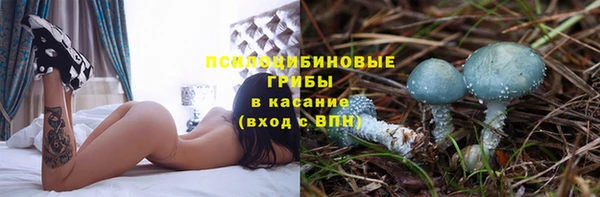 spice Абдулино