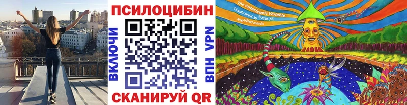 купить наркоту  Енисейск  Псилоцибиновые грибы прущие грибы 